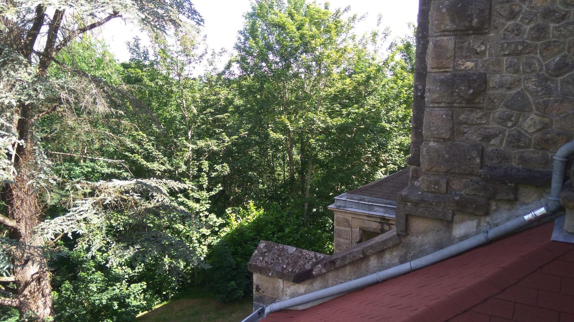 Chambres d'Hôtes-Château Constant Bessines-sur-Gartempe Quarto foto